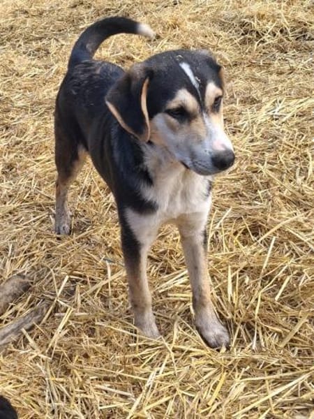 Matti wünscht sich eine Familie