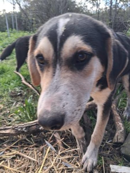 Matti wünscht sich eine Familie