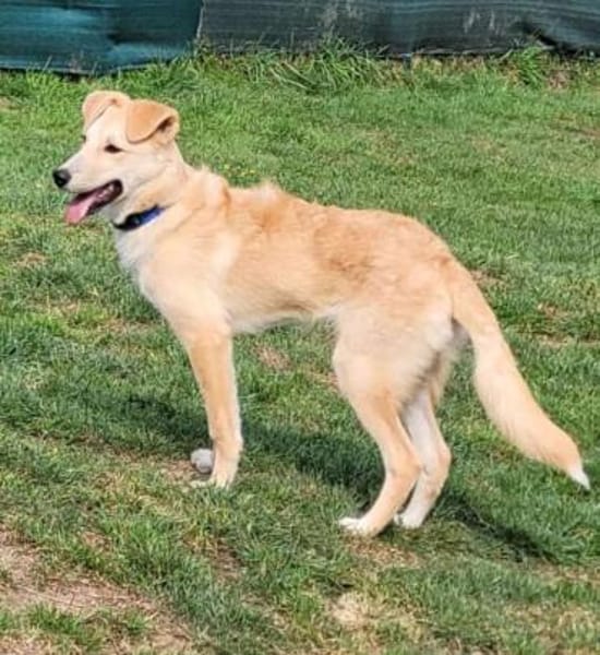 LANA eine bezaubernde junge Dame