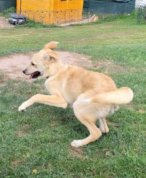 LANA eine bezaubernde junge Dame