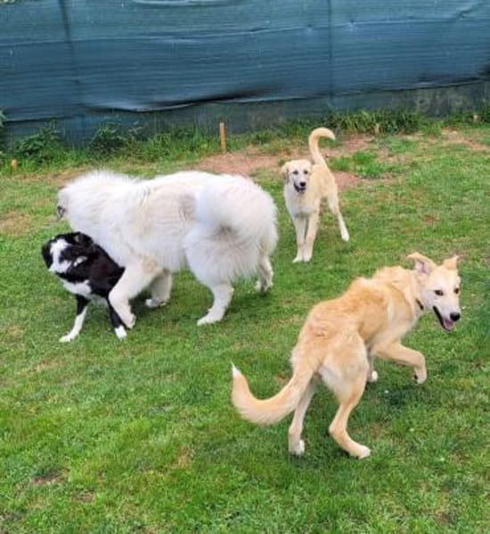 LANA eine bezaubernde junge Dame