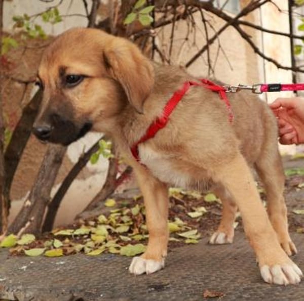 Friederike ein kleiner süßer Schatz ...