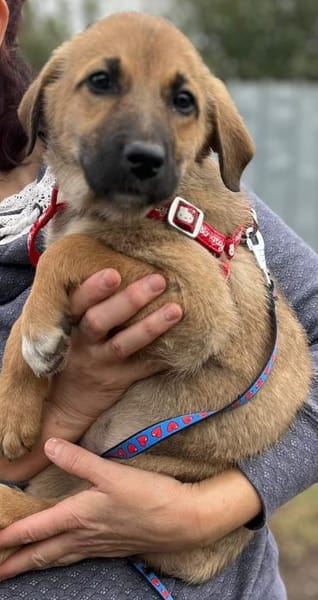 Friederike ein kleiner süßer Schatz ...
