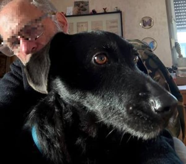 Tonkica ein absoluter Schatz