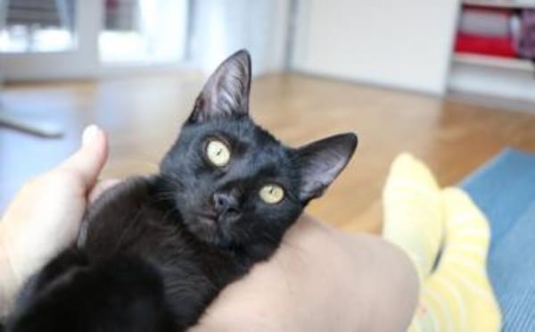 Nashi ist berei für ein neues Leben