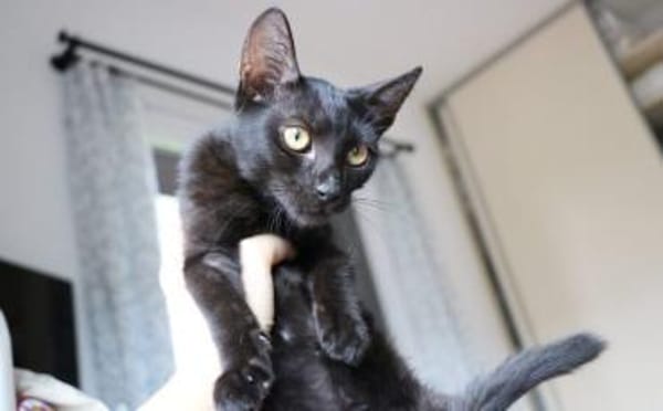 Nashi ist berei für ein neues Leben