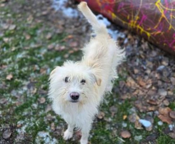 LARA 2 sucht Familienanschluss