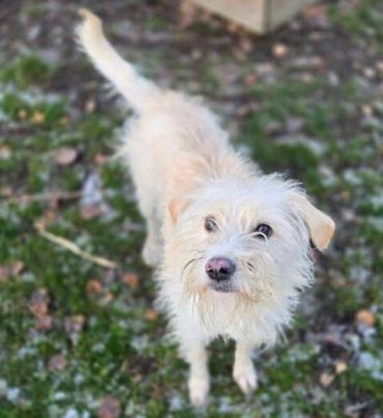 LARA 2 sucht Familienanschluss