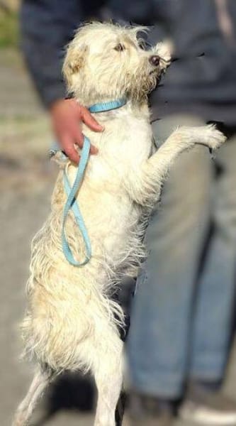 LARA 2 sucht Familienanschluss