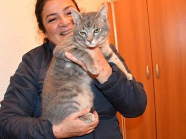 Verspielter Rubino sucht sein Zuhause