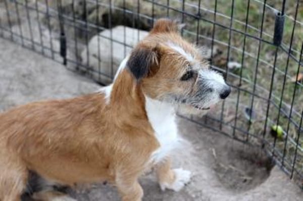 Lizu wünscht sich eine eigene Familie