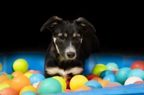 ALENJA * klein süß sportlich