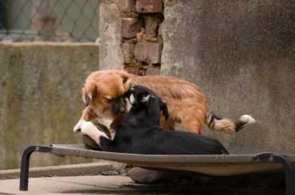 ALENJA * klein süß sportlich