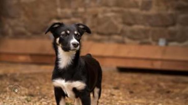 ALENJA * klein süß sportlich