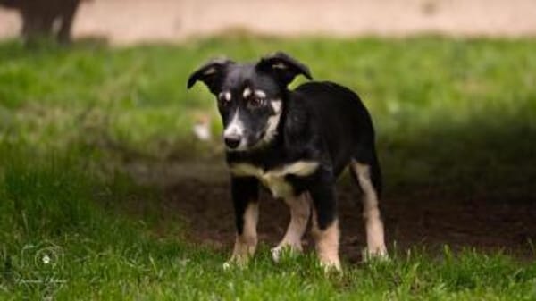 ALENJA * klein süß sportlich