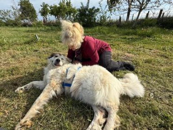 Rosie sucht ihr Körbchen mit Garten