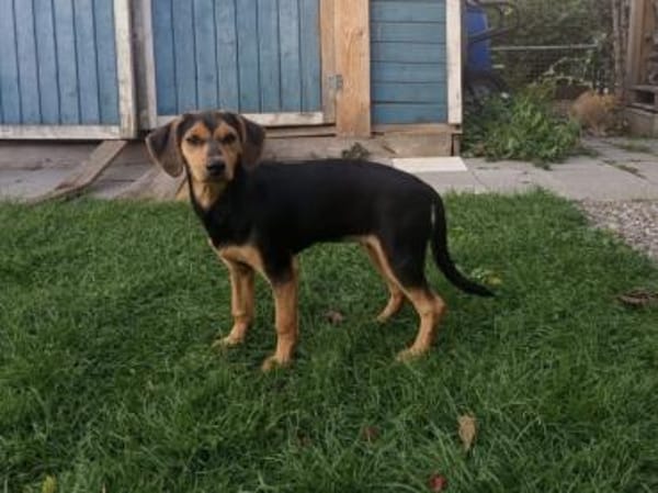 Zoe möchte zu Ihnen gehören