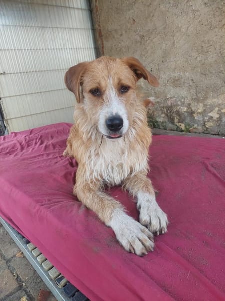 Großes Mädchen sucht großes Glück