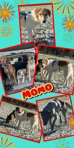 Momo wartet in München!