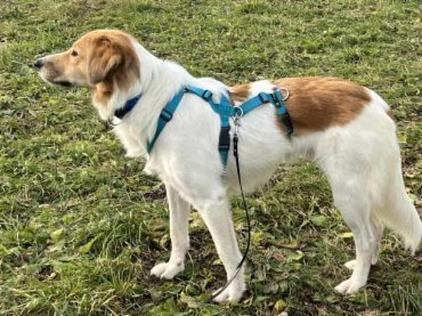 Momo wartet in München!