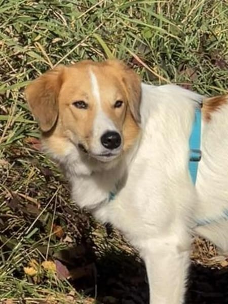 Momo wartet in München!