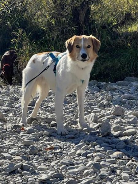 Momo wartet in München!