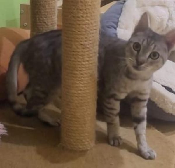 Liebe Tonja sucht ihre Menschen