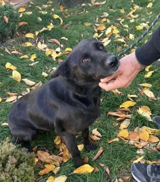 Vany 47 cm ca 5 Jahre