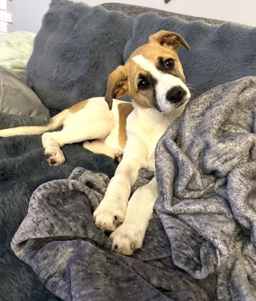 Lolly ein tolles liebes Mädchen