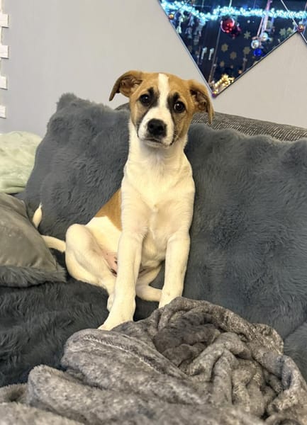 Lolly ein tolles liebes Mädchen