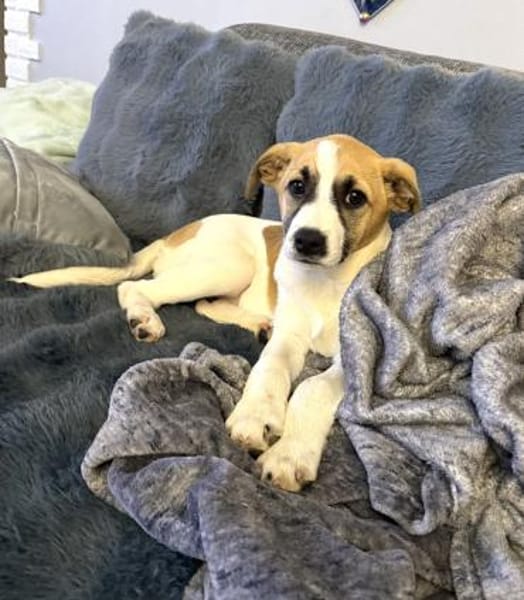 Lolly ein tolles liebes Mädchen