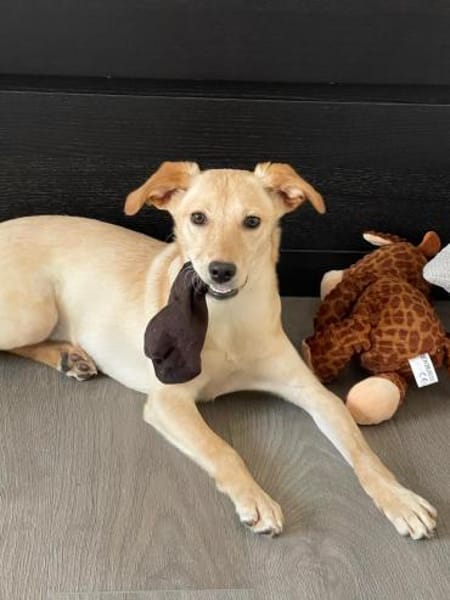 Ajala sucht ihre Lieblingsmenschen