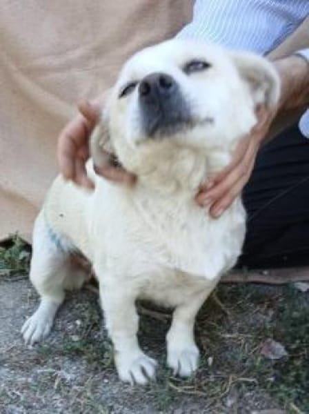 Tereza 36 cm (Pflegestelle)