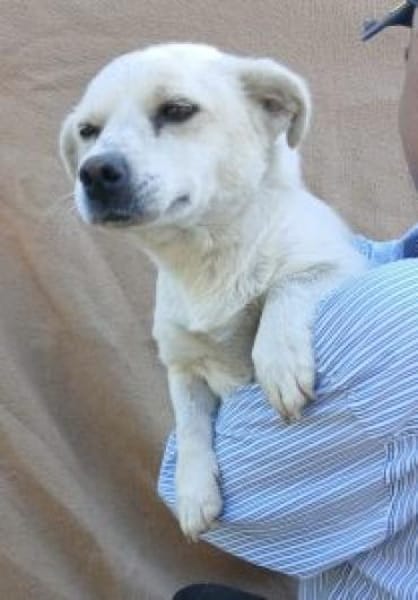 Tereza 36 cm (Pflegestelle)