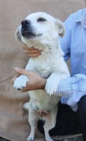 Tereza 36 cm (Pflegestelle)