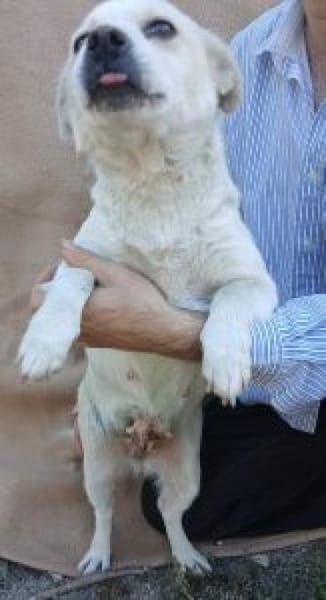 Tereza 36 cm (Pflegestelle)