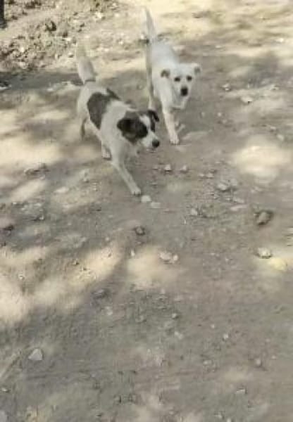 Tereza 36 cm (Pflegestelle)