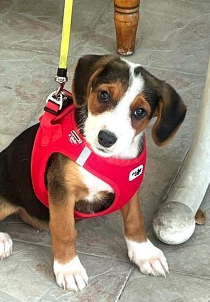 Emilia, freundlich und zauberhaft sucht