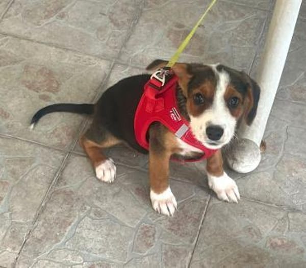 Emilia, freundlich und zauberhaft sucht