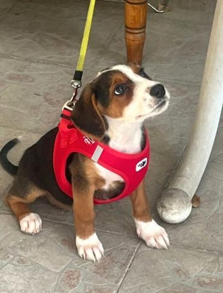 Emilia, freundlich und zauberhaft sucht