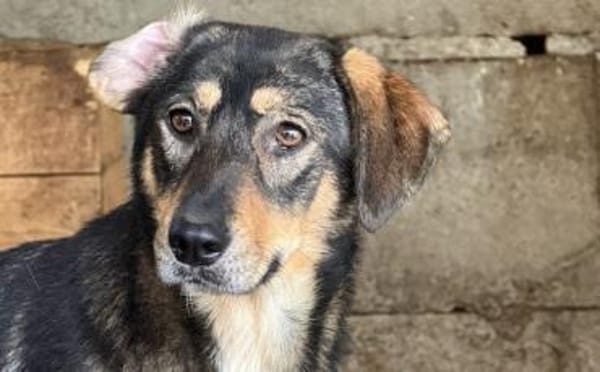 Daphne will endlich vertrauen