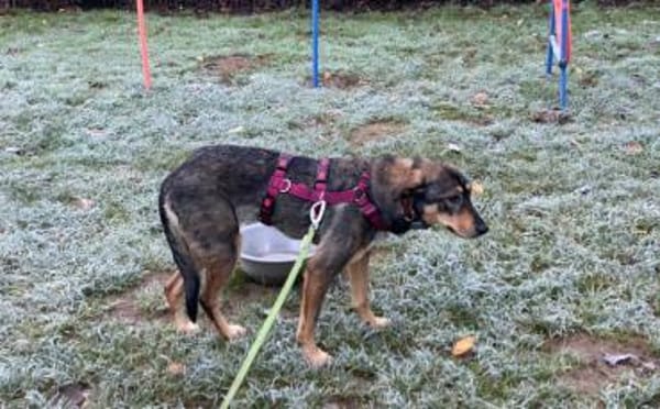 Daphne will endlich vertrauen