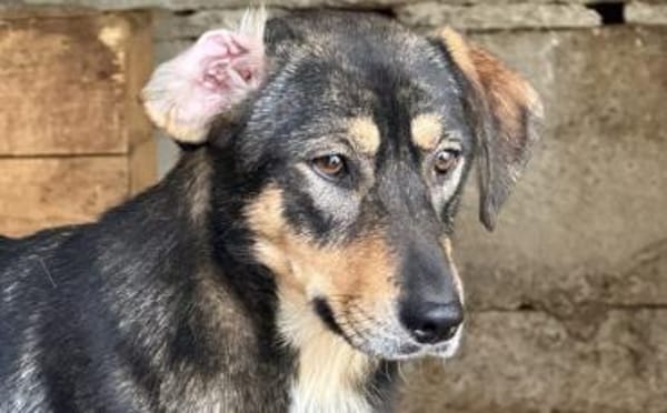 Daphne will endlich vertrauen