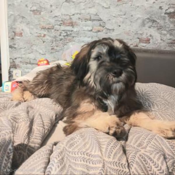 Hubert auf PS in 47055 Duisburg