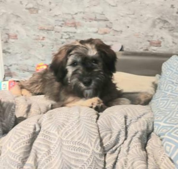 Hubert auf PS in 47055 Duisburg