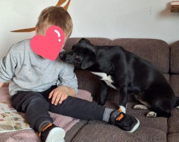 Schüchterne Penny sucht tolles zu Hause