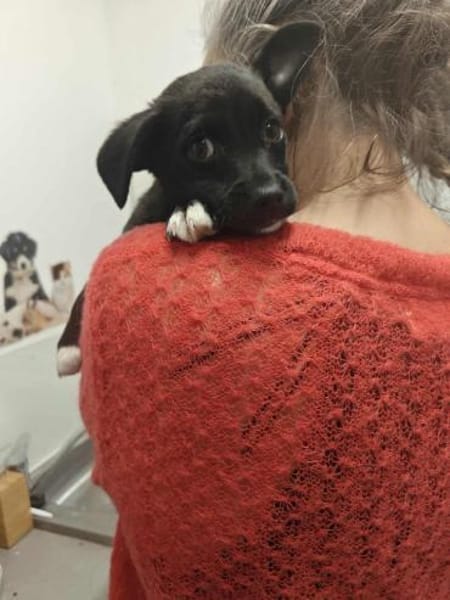 Riri ca 4 mon. 22 cm