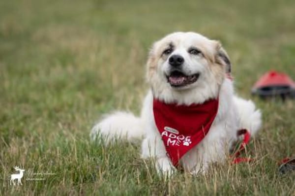 Lille - ein Sonnenschein