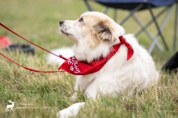 Lille - ein Sonnenschein