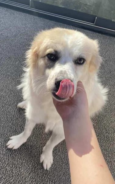 Lille - ein Sonnenschein